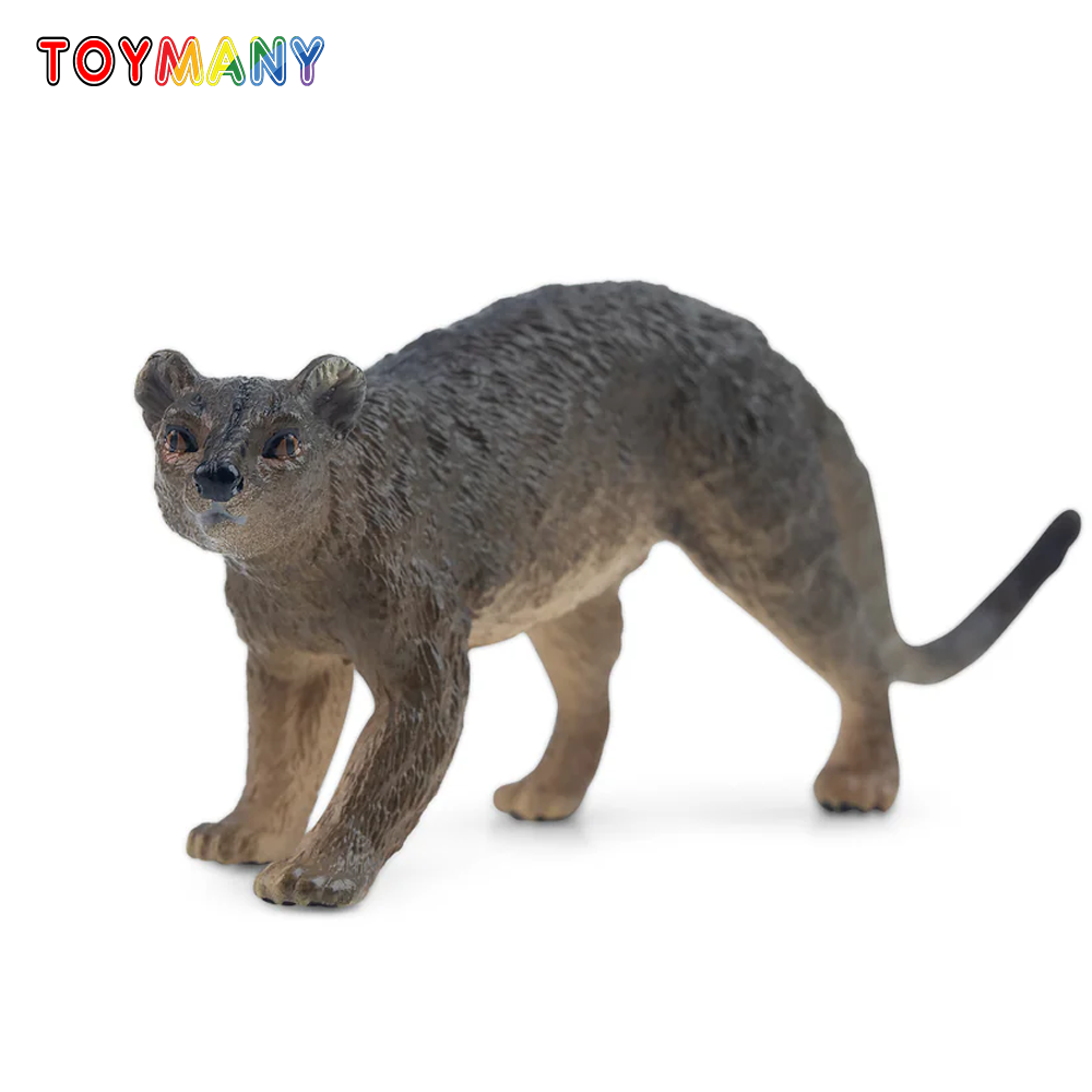 Kids Toys Under $5 - Toymany Simulasi Fossa Madagaskar Hewan Model