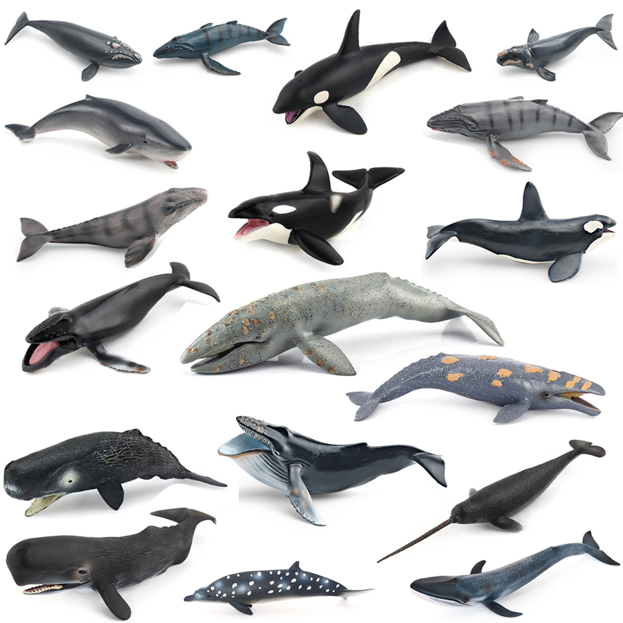 Kids Toys China - Model Hewan Laut Realistis: Paus Humpback,