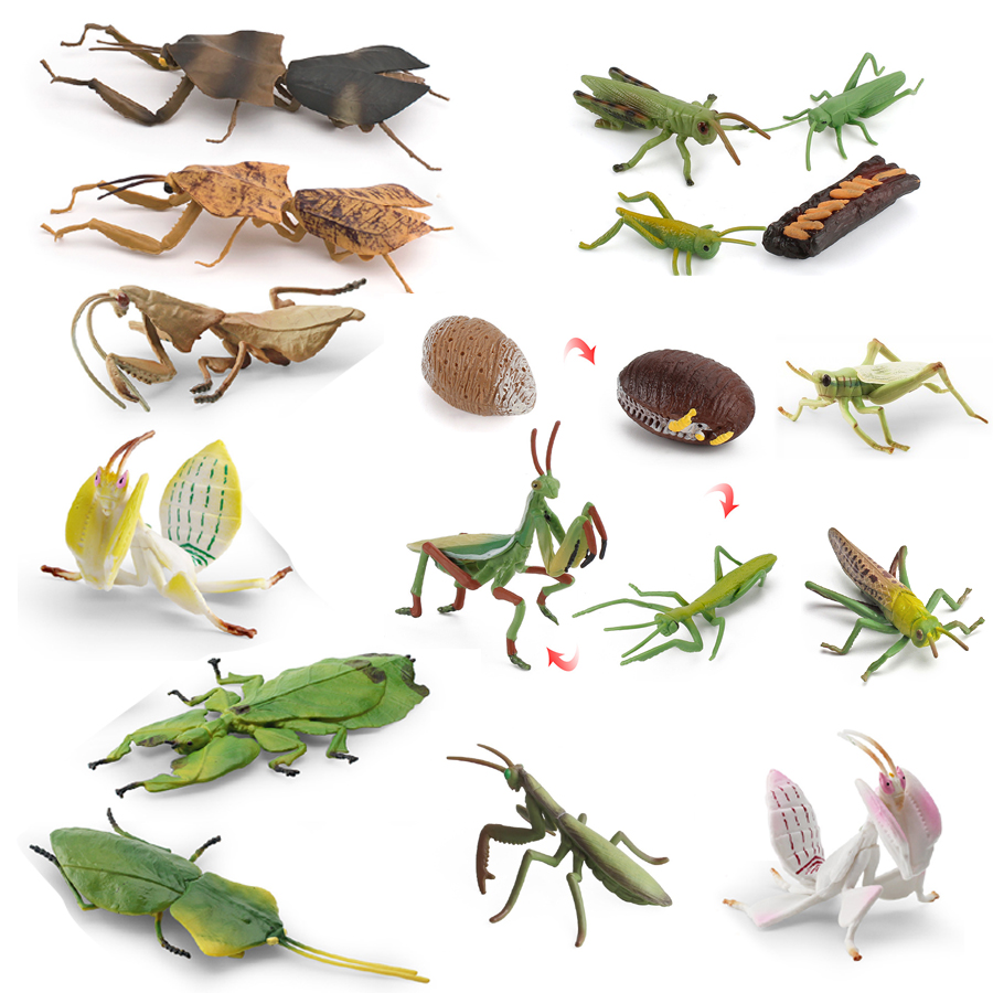 Kids Toys China - Model Figur Serangga Daun Raksasa Mantis