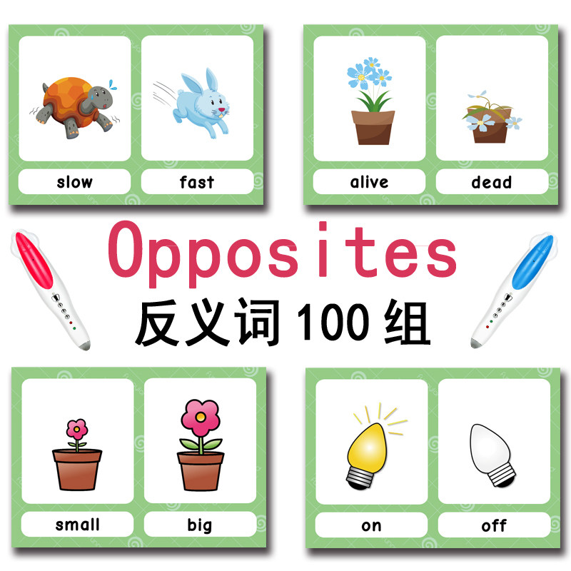 100 Kartu Flashcard Kata Bahas - Kids Toys China ulasan dan harga