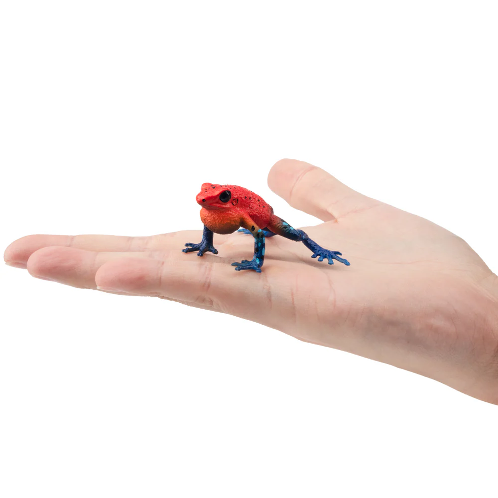 Mainan Simulasi Kodok Stroberi - Kids Toys Under $5 ulasan dan harga