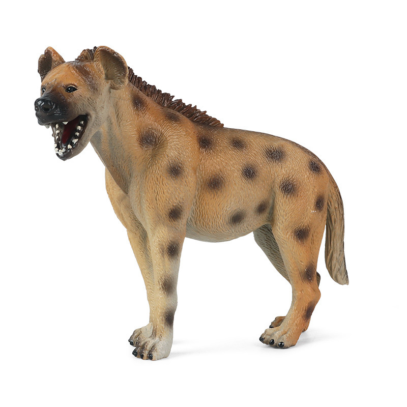 Boneka Koleksi Aksi Tokoh Mode - Kids Toys Under $5 ulasan dan harga