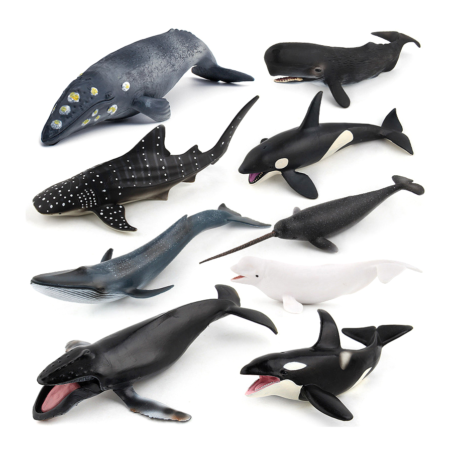 Model Hewan Laut Realistis: Pa - Kids Toys China ulasan dan harga