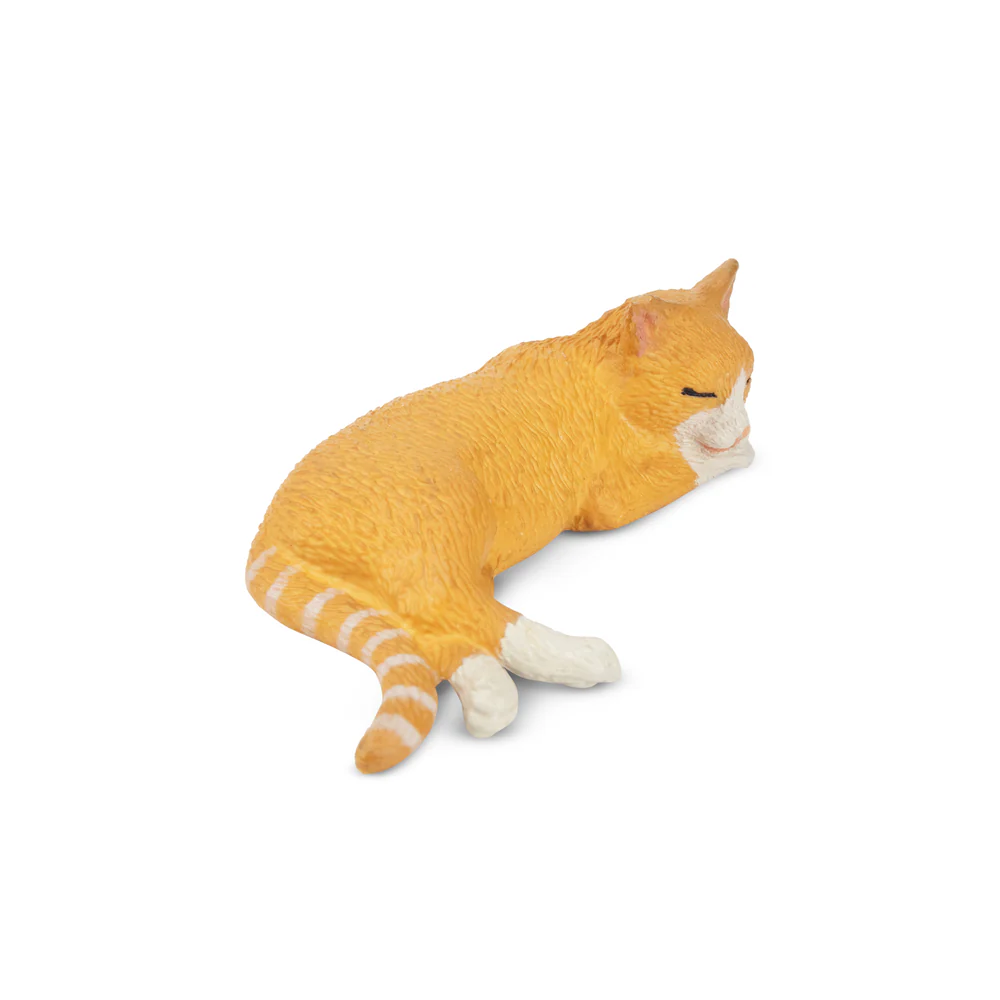 Toymany Mainan Model Hewan Pel - Kids Toys Under $5 ulasan dan harga