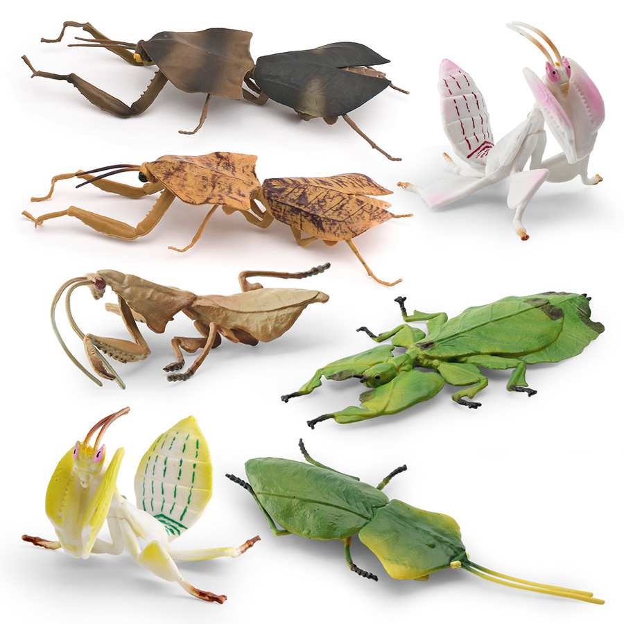Model Figur Serangga Daun Raks - Kids Toys China ulasan dan harga